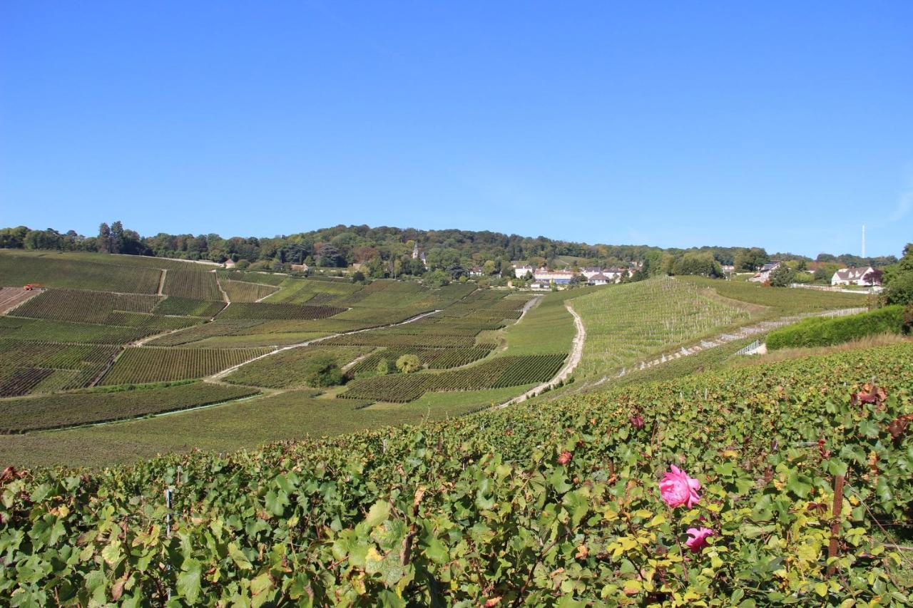 איי-שמפני Le Cocon Appartement Proche Epernay Et Maisons De Champagne מראה חיצוני תמונה