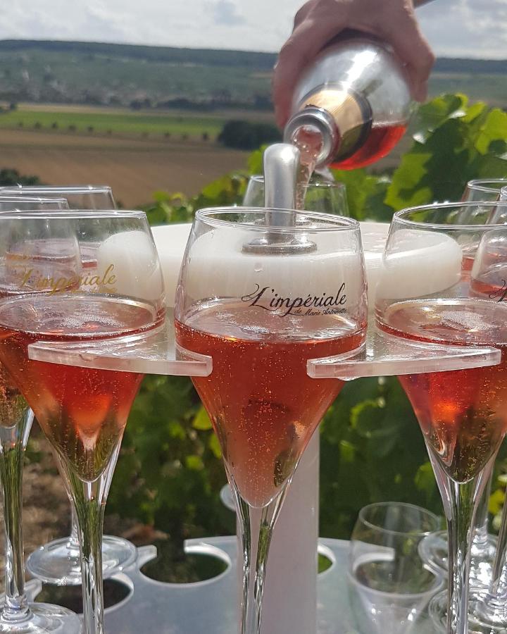 איי-שמפני Le Cocon Appartement Proche Epernay Et Maisons De Champagne מראה חיצוני תמונה